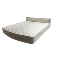NCE Dreamweaver II Queen Bolster Mattress